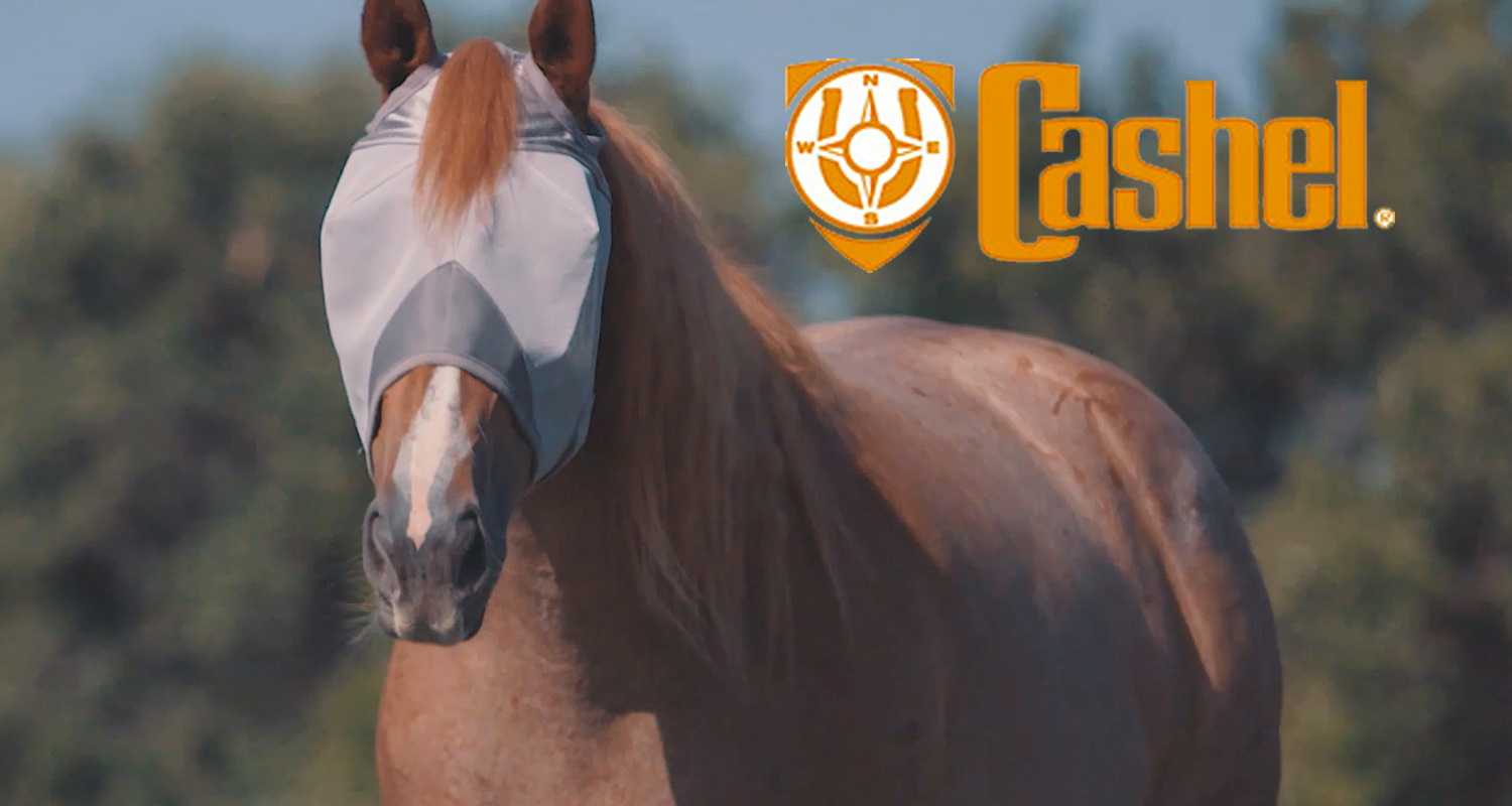 Cashel Horse Products Fly Masks and Fly Sheets