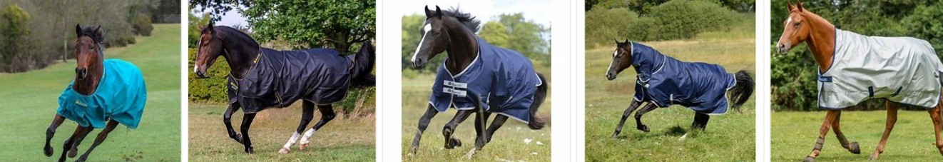 Bucas Horsewear Blanket Horse Sheet 