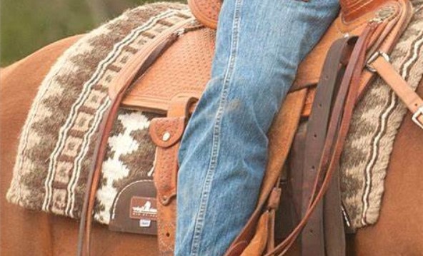 Equibrand horse tack western saddle pads, legacy horse boots