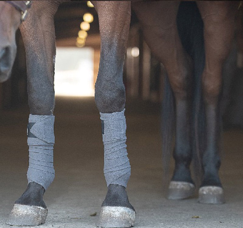 The perfect polo wrap - how to wrap a horses leg
