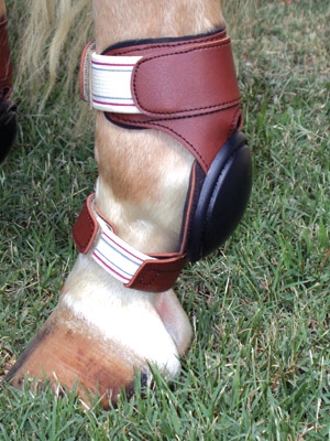 How to clean a rear leather skid boot for horses